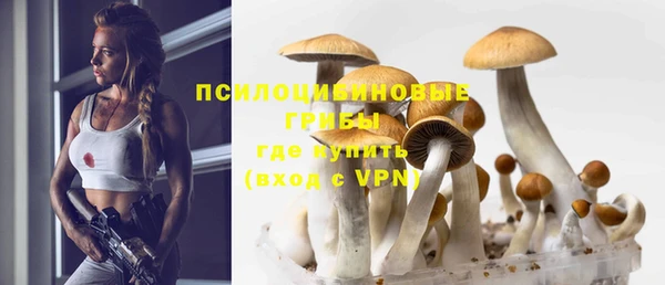 прущая мука Алзамай