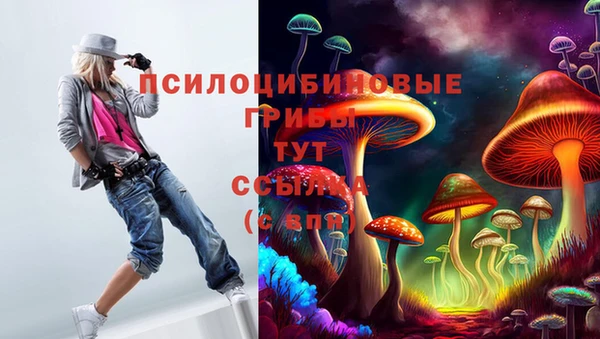 прущая мука Алзамай