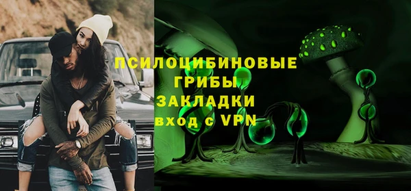 метадон Алексин