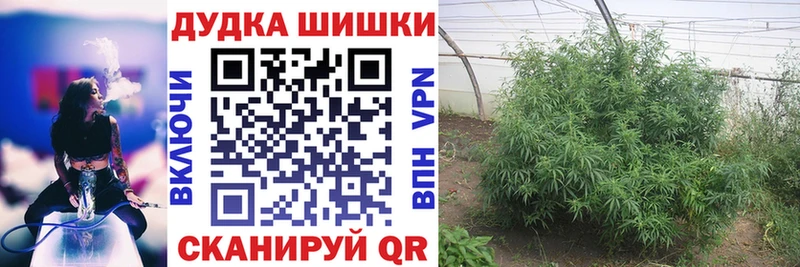 Канабис OG Kush Мамоново